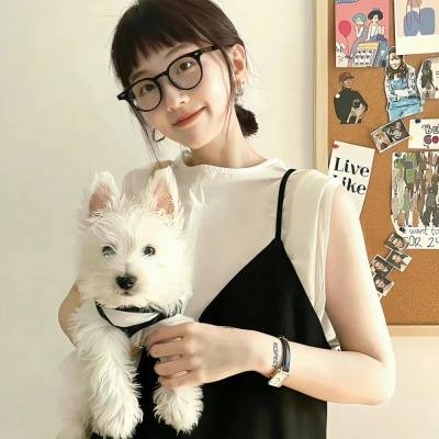 百慕迷踪
